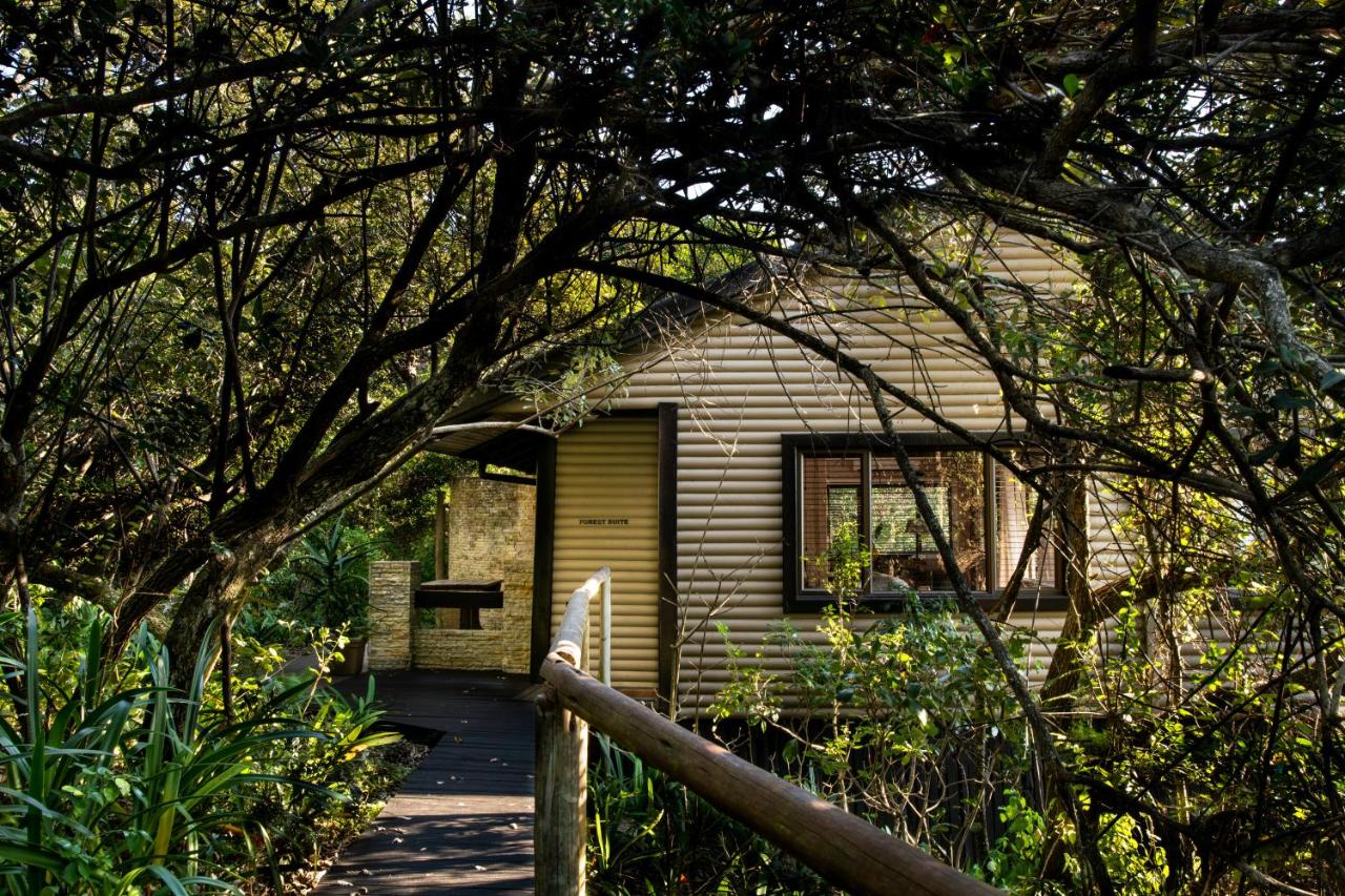 Suite Forest