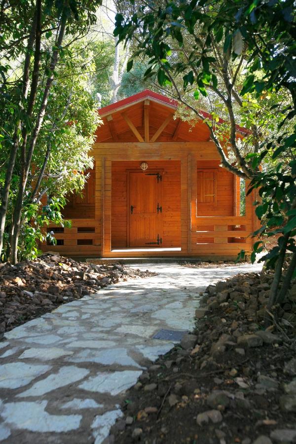 Bungalow (2 Adulti)