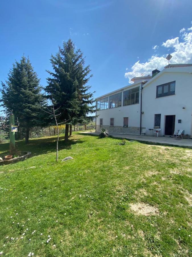 Casa degli Ulivi - B&B