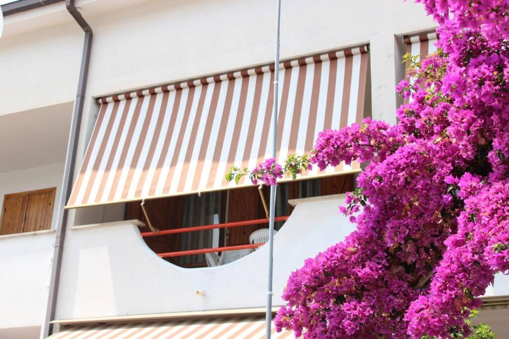 Roma a un passo e il mare in casa - B&B Marina di Cerveteri