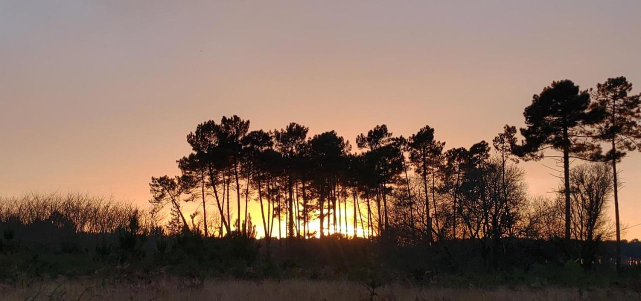 Maison bois neuve tout confort, au calme - Bed and Breakfast