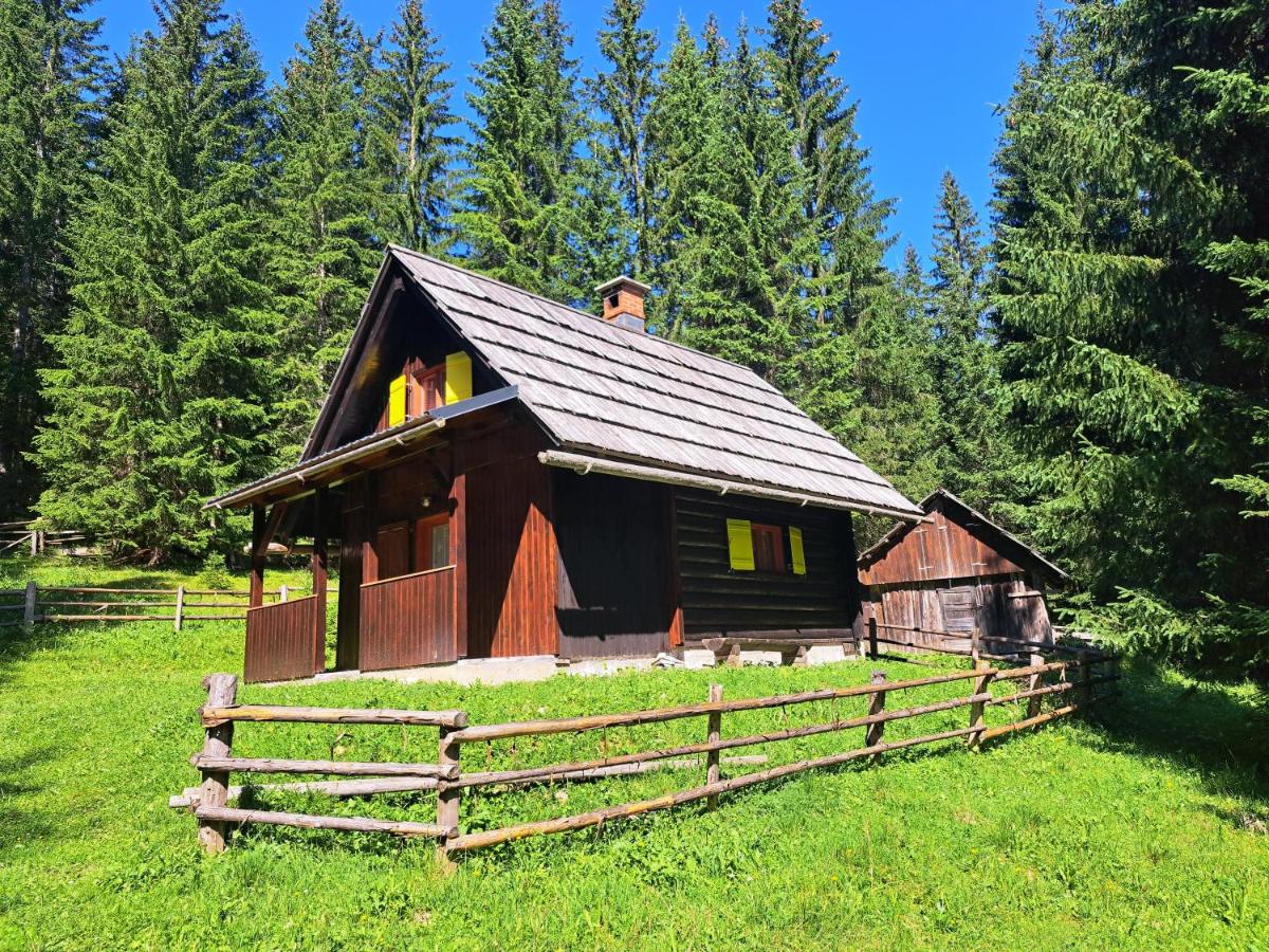 BRINA Pokljuka - Bed and Breakfast
