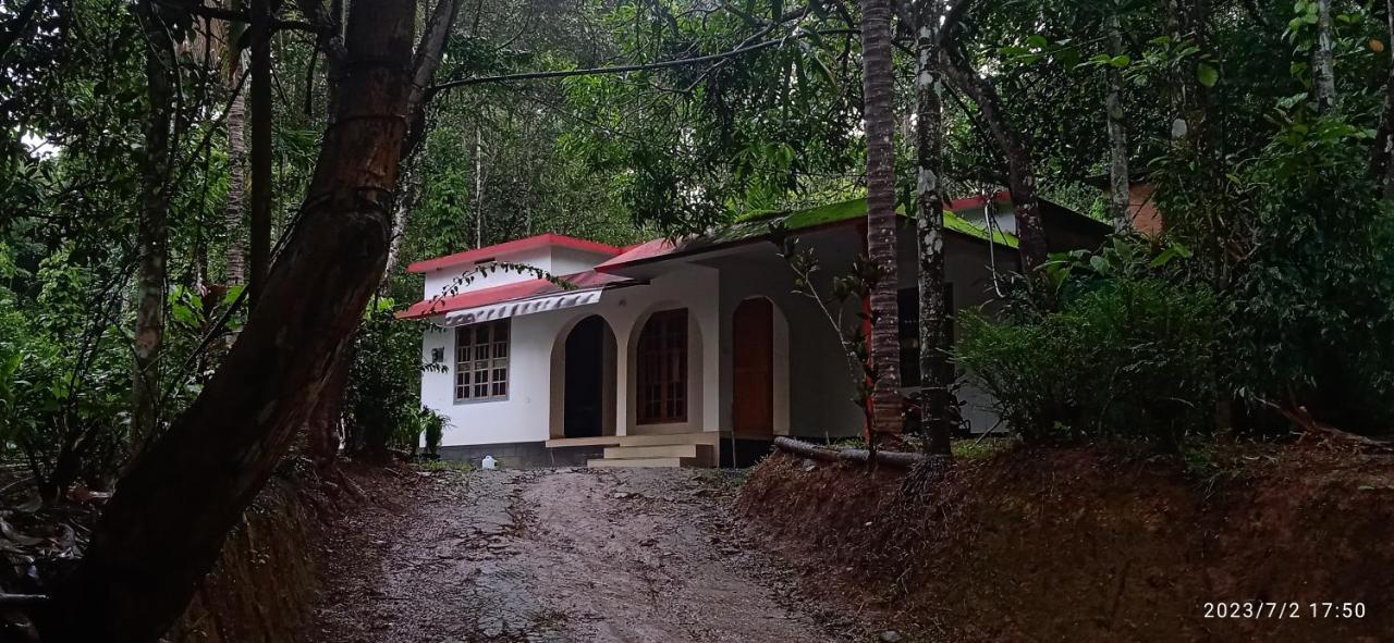 White Rose - Bed and Breakfast Chengētt