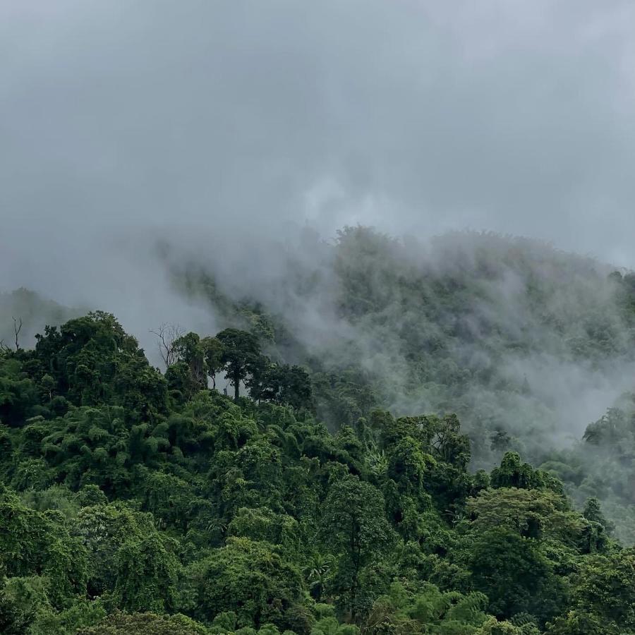 November พฤศจิกายน - B&B Ban Pha Mi