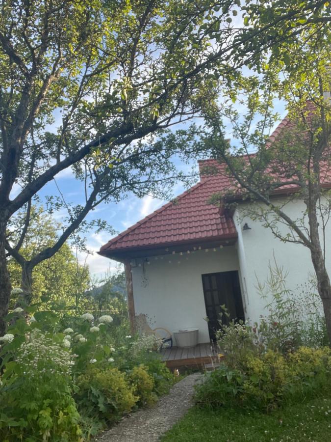 Hlinená izba na Hájiku - Ferienwohnung Banská Štiavnica