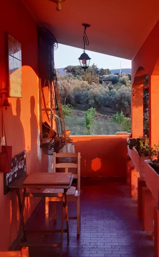 B&B Frascati - Poggio agli Ulivi - Bed and Breakfast Frascati