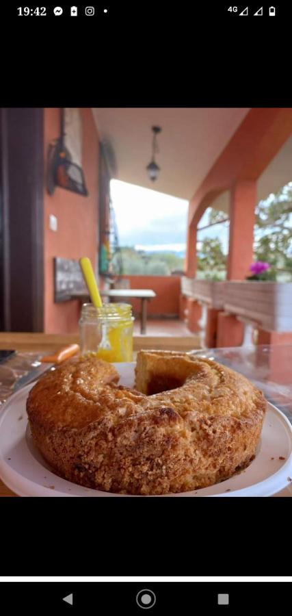 Poggio agli Ulivi - B&B
