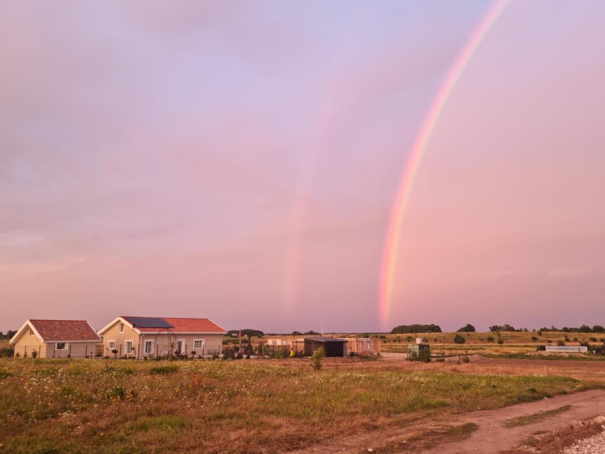 3 ruoniai - Bed and Breakfast Palanga