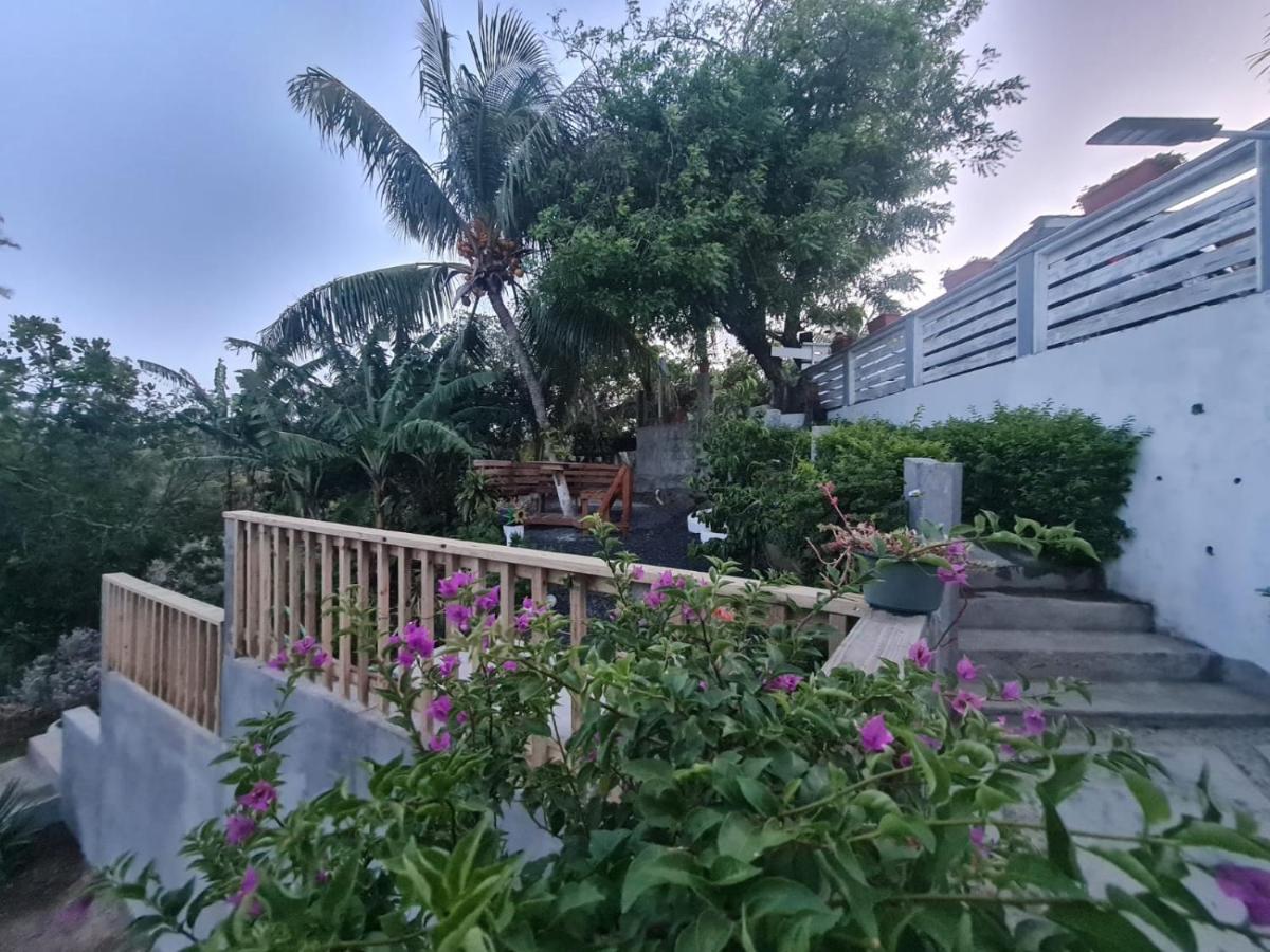 Casa Colibri - B&B