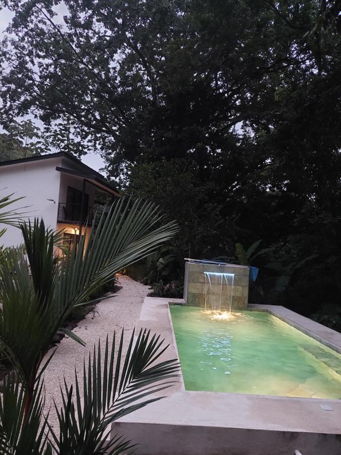 Vista Verde Surf & Studios - jungle View - B&B Carmen