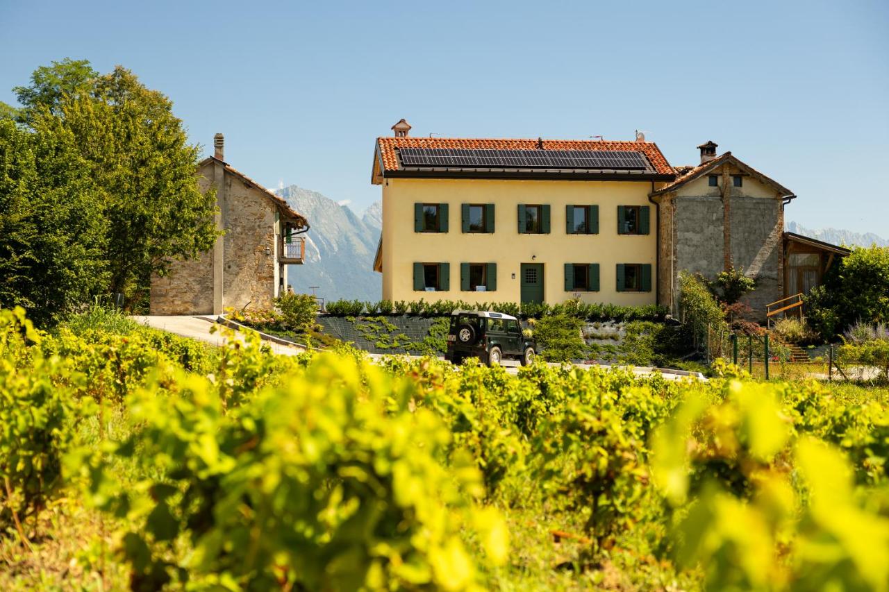 B&B Belluno - B&B Le Zucche - Bed and Breakfast Belluno