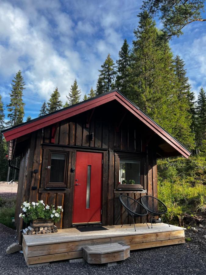 Stuga i Transtrand - B&B