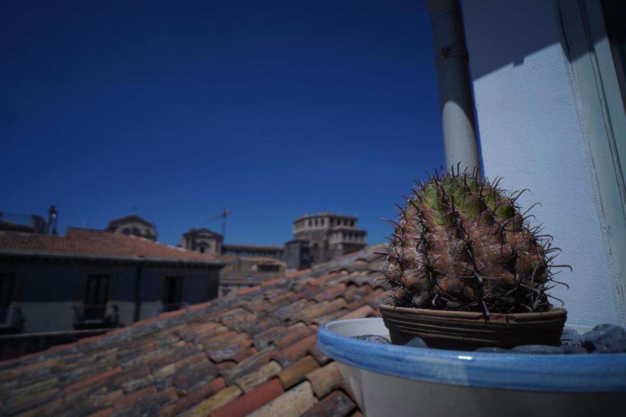 Casa delle Rondini - B&B