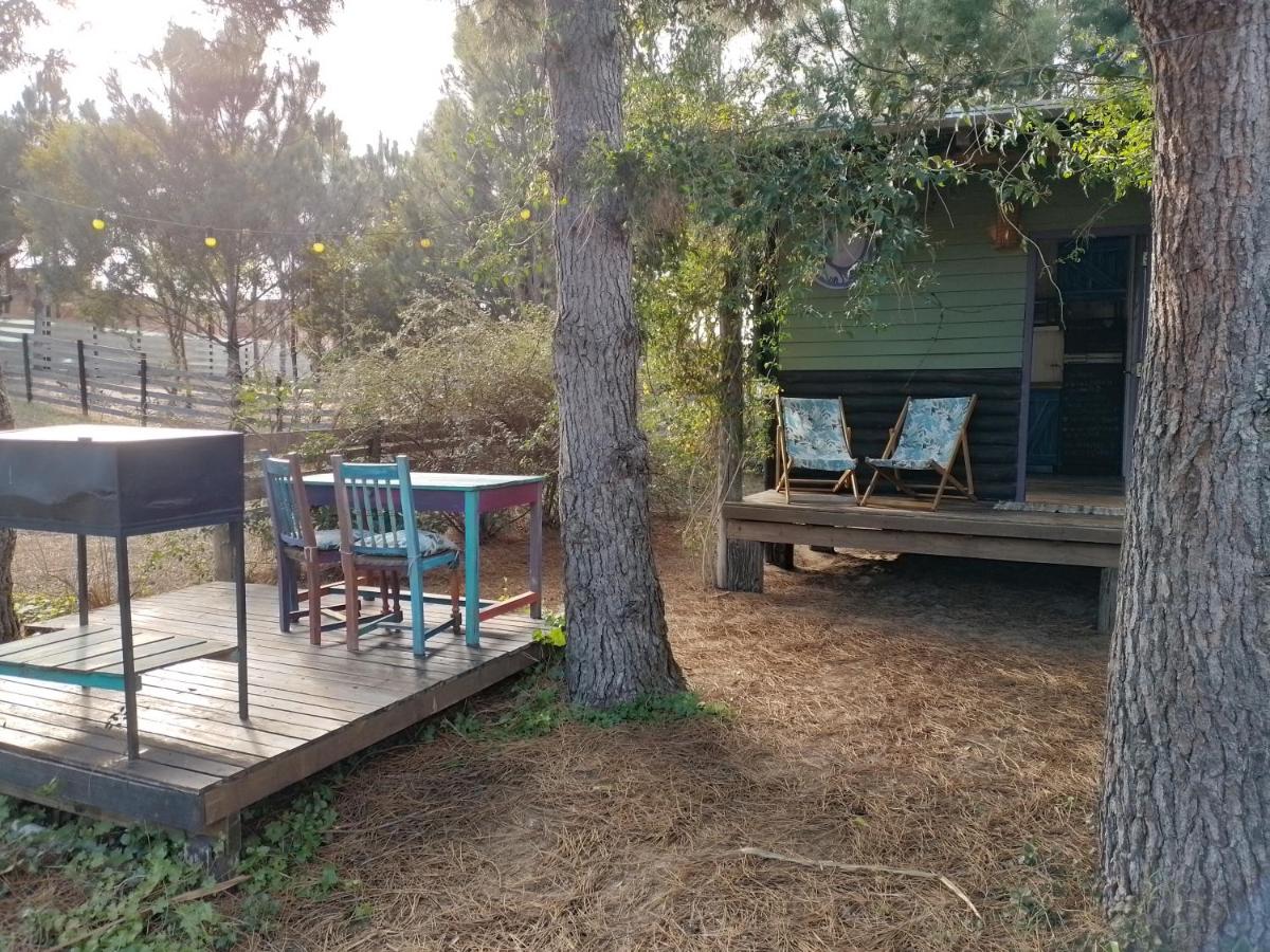 la cabanita pinamar - B&B Pinamar