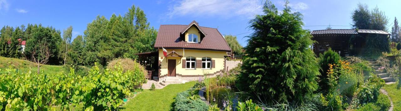 B&B Klonowo Dolne - Domek w lesie - Bed and Breakfast Klonowo Dolne