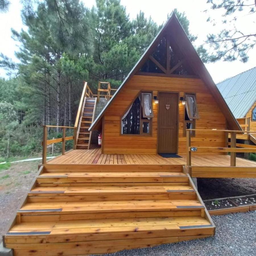 Suite de 1 dormitorio