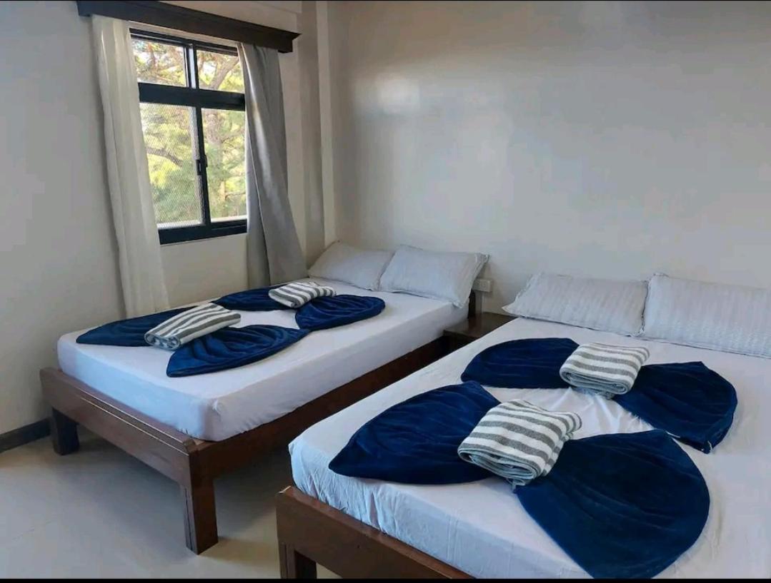 B&B Baguio City - Haven Haus with Mountain View - Bed and Breakfast Baguio City