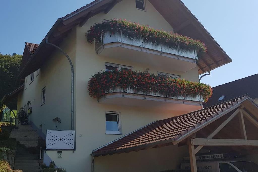 Ferienwohnung Talblick im Schwarzwald - B&B Seelbach