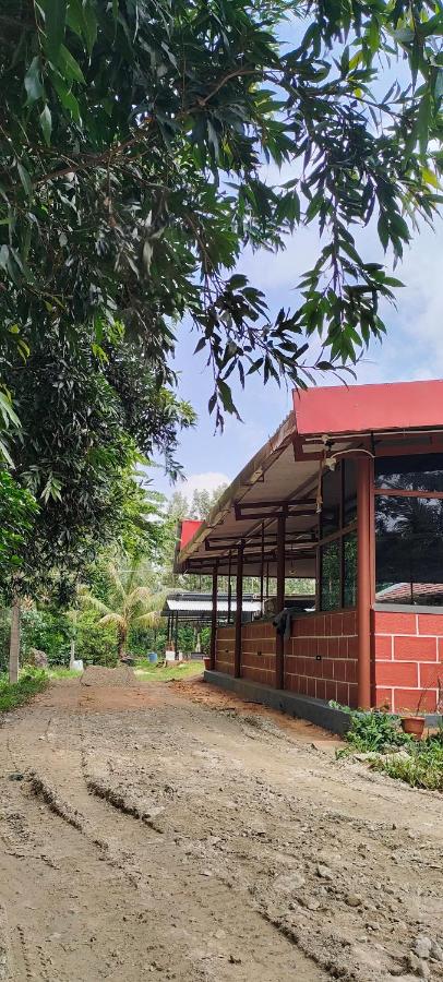 GOLDENGATE HOME STAY - B&B
