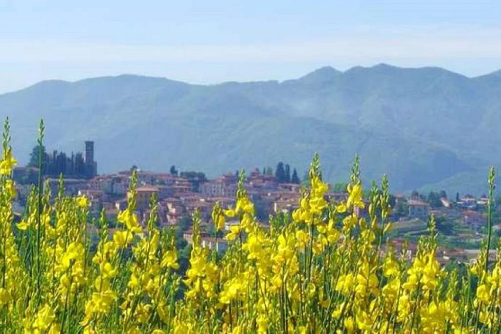 B&B Barga - Villa Trivium - Bed and Breakfast Barga