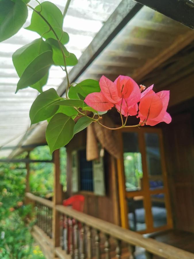 B&B Đak Lao - Lily's Stone Garden Dorm room - Bed and Breakfast Đak Lao