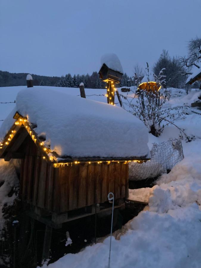 FW Aussicht Fam Sigl - B&B Sankt Peter am Kammersberg