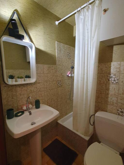 Appartamento con 1 Camera da Letto