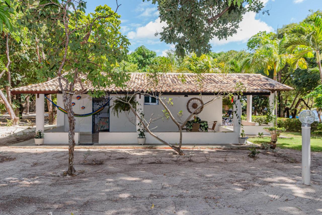 Estudio con terraza