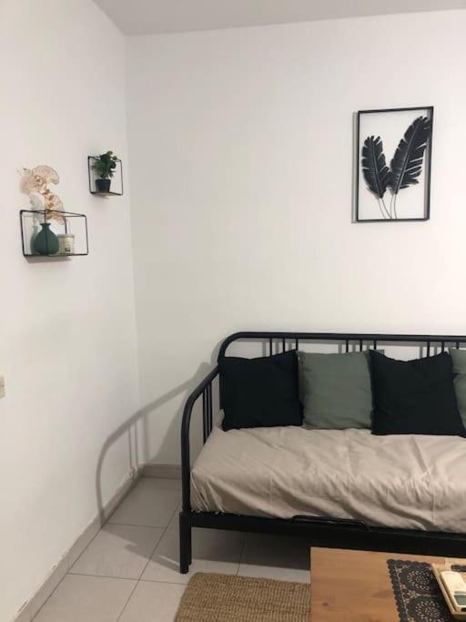 Piso los franchutes - B&B Cabra