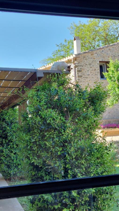 Mas Ferran Adults Only - B&B Pals