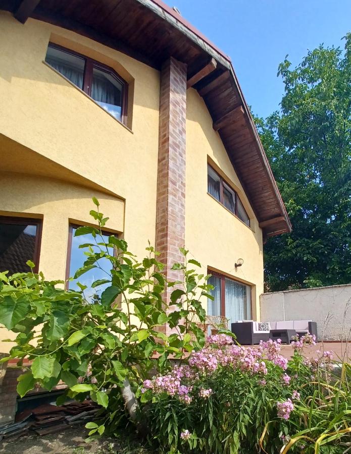 Vila Gloria ,Brașov - B&B Ghimbav