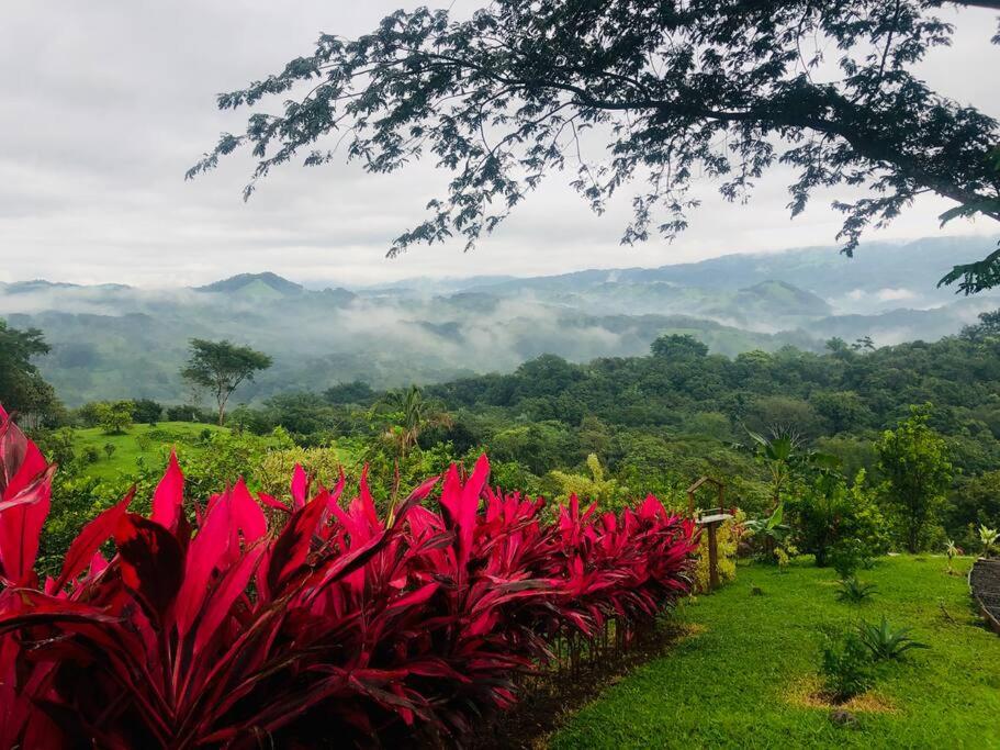 Luxury Villa Carao - Serene Amazing Views and Starlink - Chambres d’hôtes San Mateo