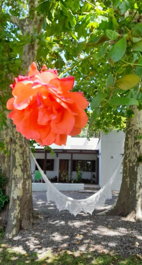 B&B Colonia del Sacramento - Casa Alma Campesina - Bed and Breakfast Colonia del Sacramento