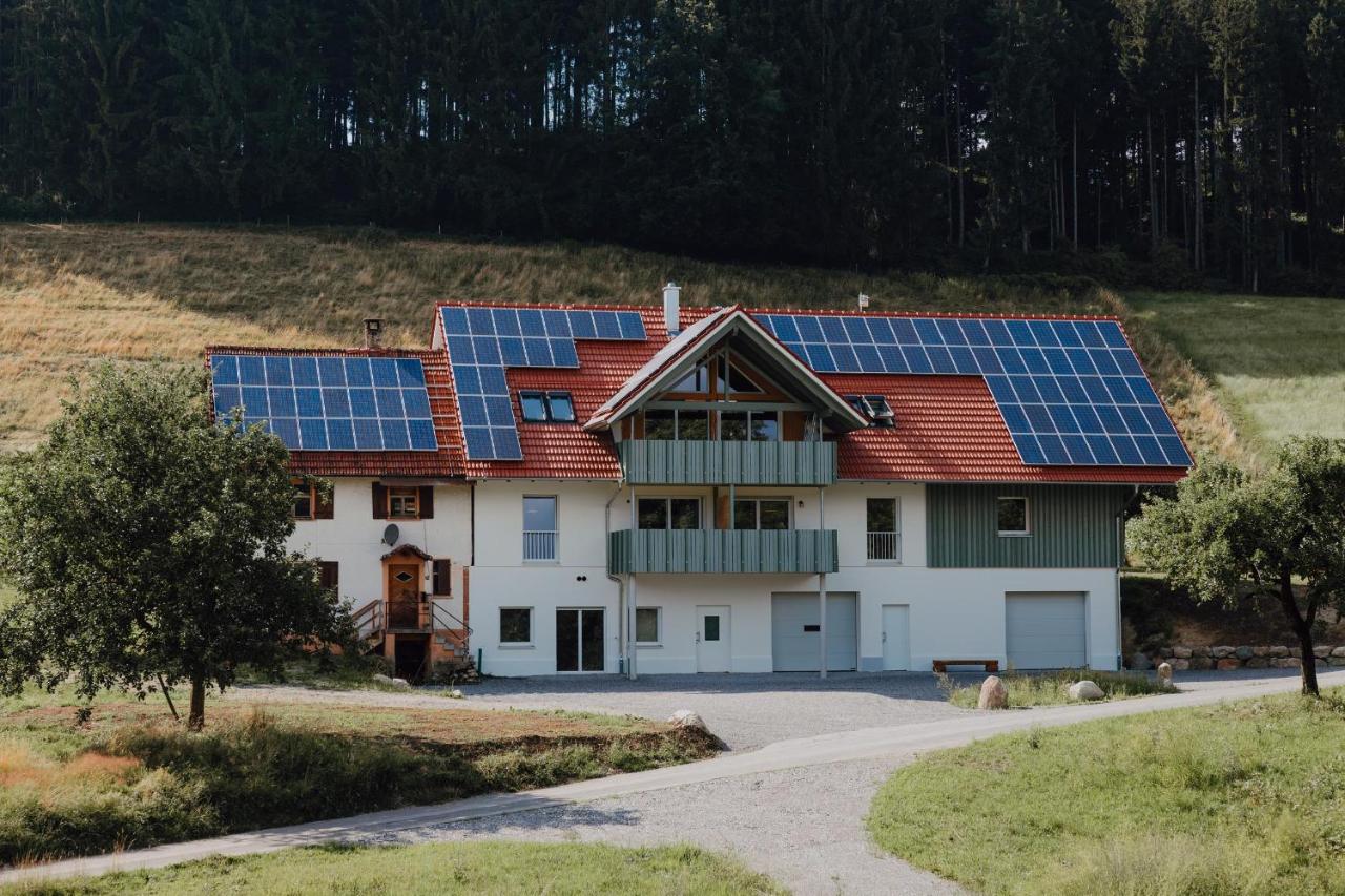 BodenSEE Apartment Neukirch Goppertsweiler HASE - B&B Neukirch