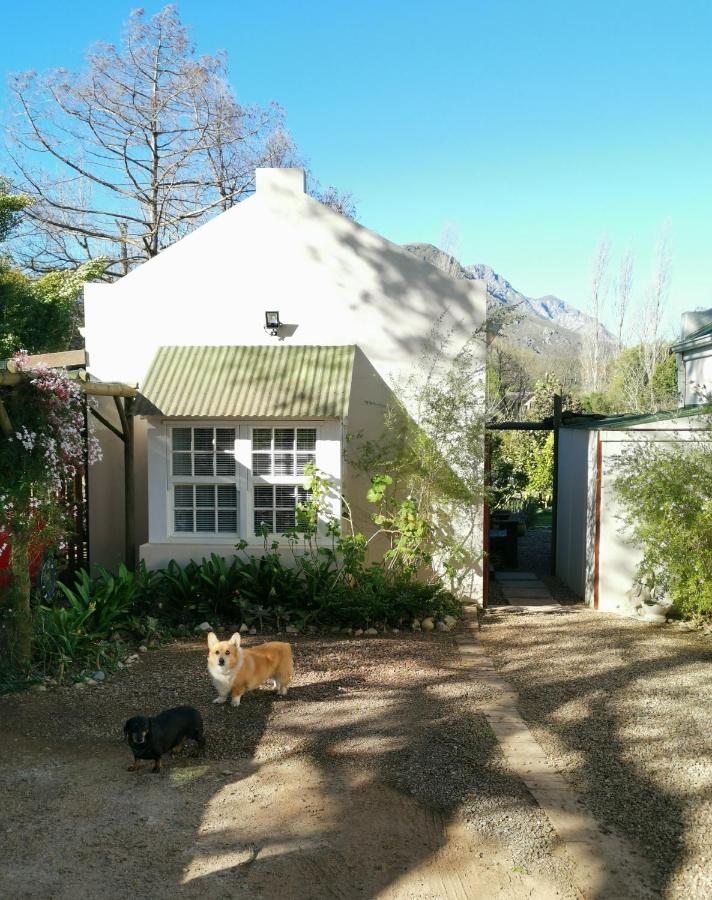 B&B Greyton - 30 Oak Street - Bed and Breakfast Greyton