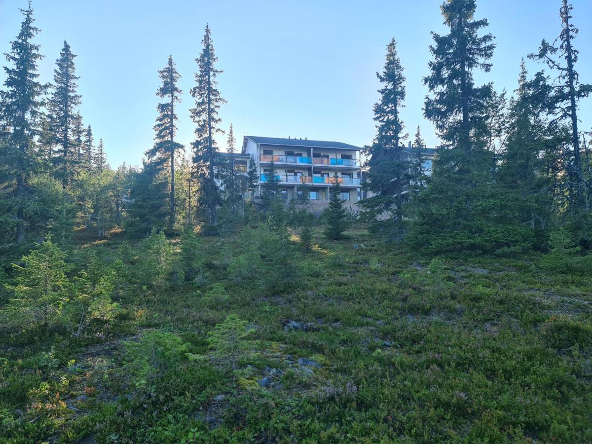 Polar Charm A - B&B