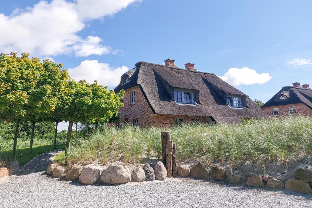Grosse Lachmöwe - Ferienwohnung Sankt Peter-Ording