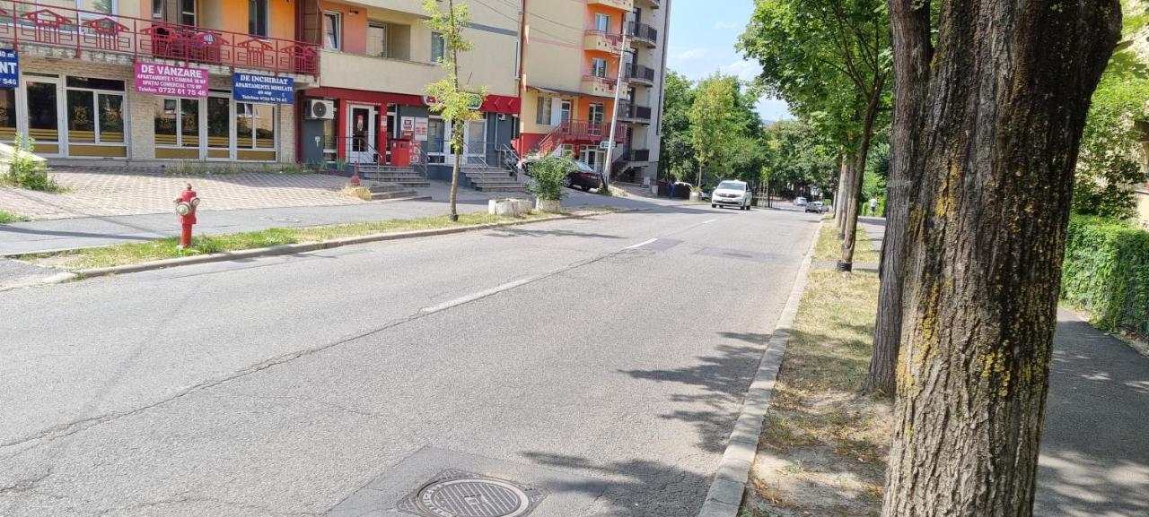 Lovely 3 bedroom flat with parking place - B&B Cluj-Napoca