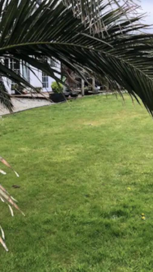 Carbis Bay luxury ground floor flat close to beach - Ferienwohnung
