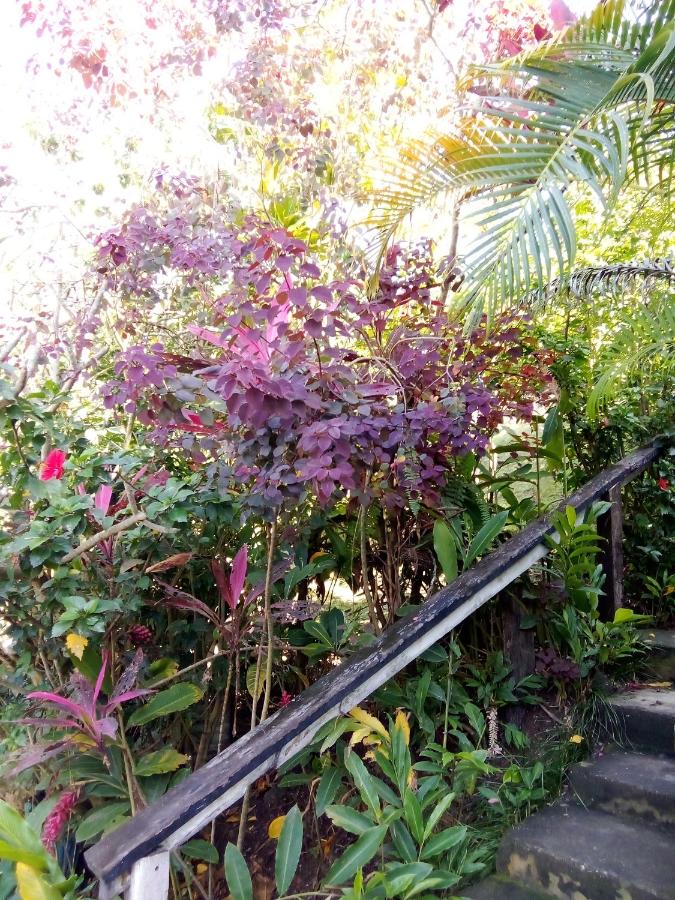 Island Home - Ferienwohnung Honiara