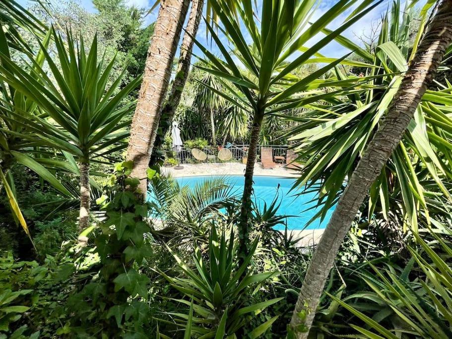 Villa French Riviera - Ferienwohnung Vallauris