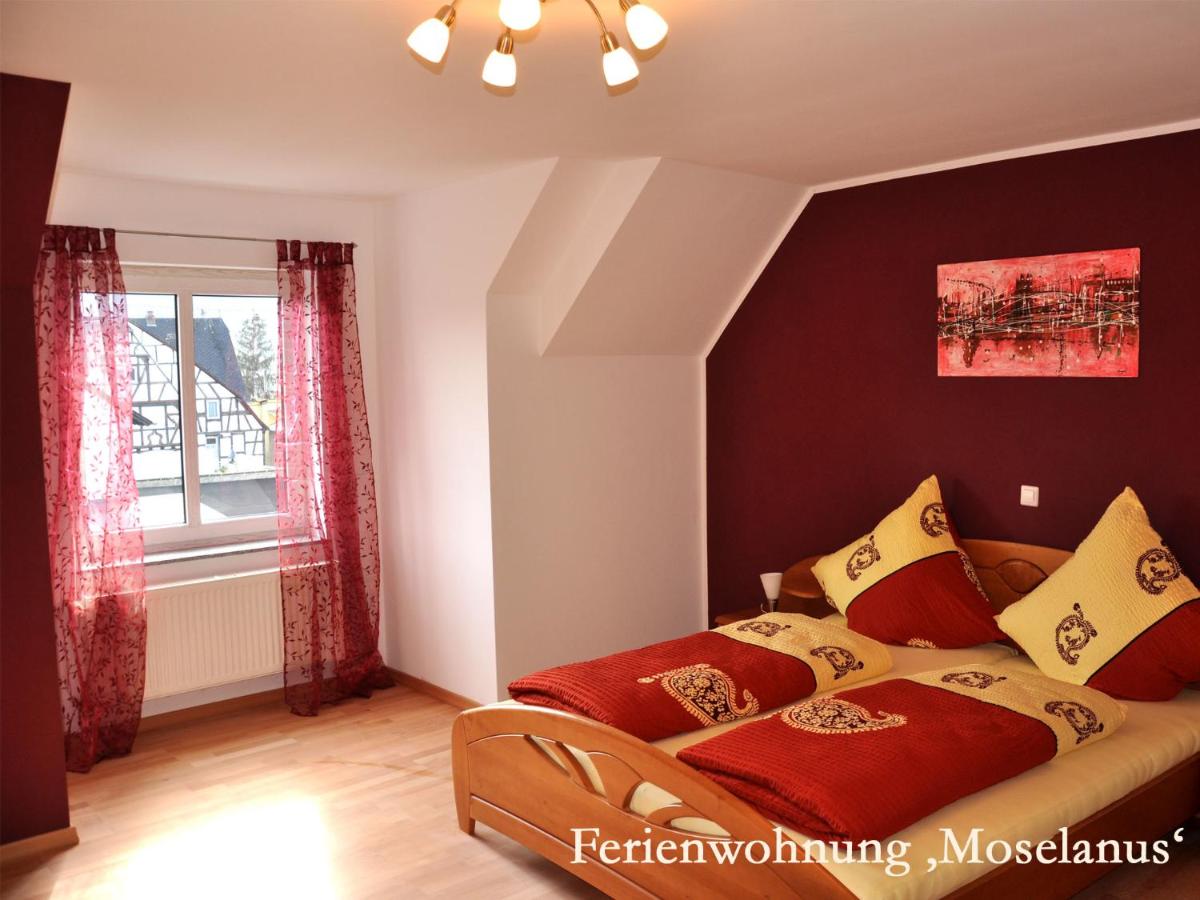 Three-Bedroom Apartment - Mosellanus