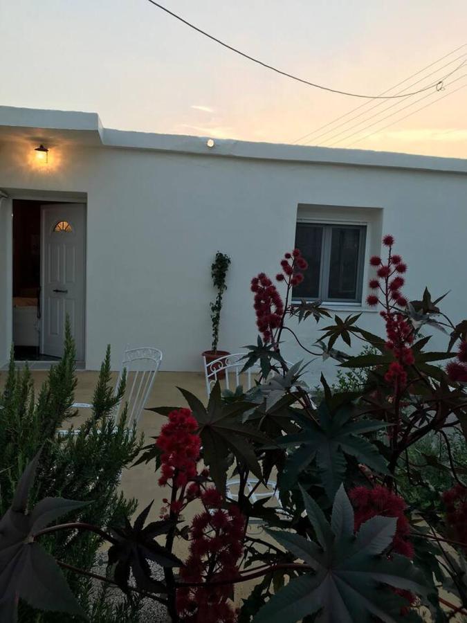 T&T House - B&B