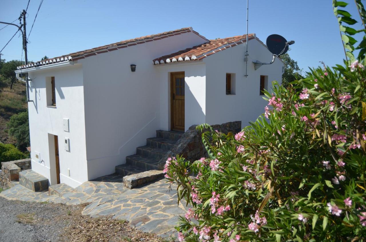 Casa do Pássaro - B&B