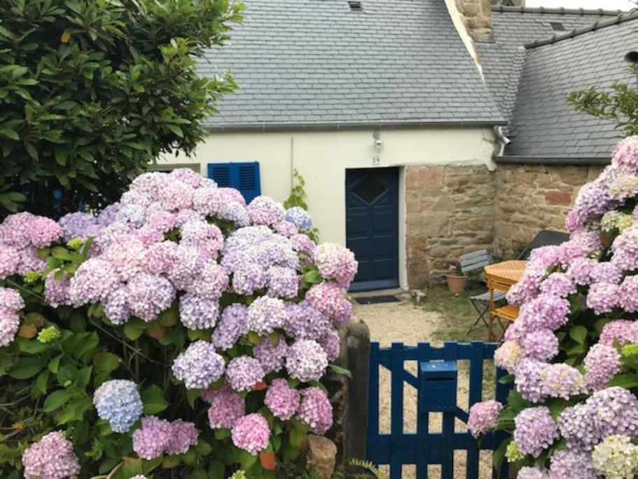 Charmante maison de pêcheurs - B&B
