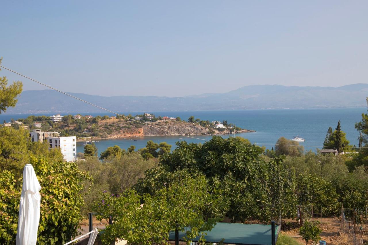 B&B Chalkida - Seaview Resort - Bed and Breakfast Chalkida