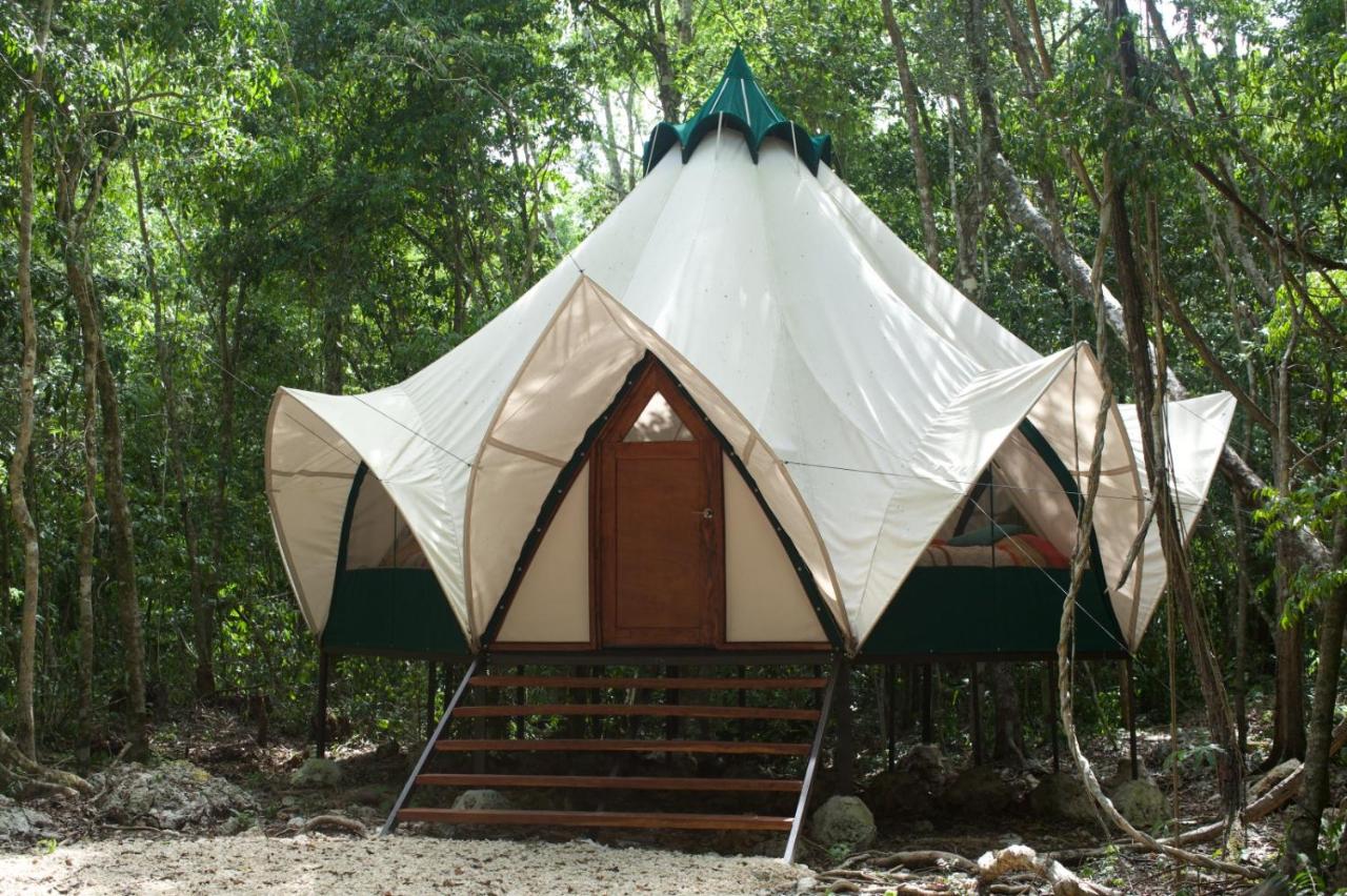 B&B Macario Gómez - Magical jungle Eco Cabana -Tulum - Bed and Breakfast Macario Gómez