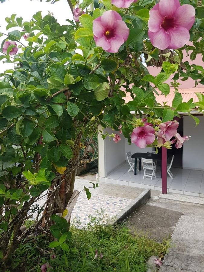 F1 studio Martinique - B&B
