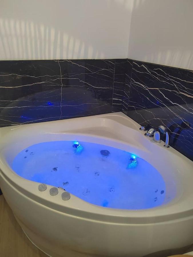T2 balnéothérapie, jardin, parking, tram, boulodrome - B&B Blagnac