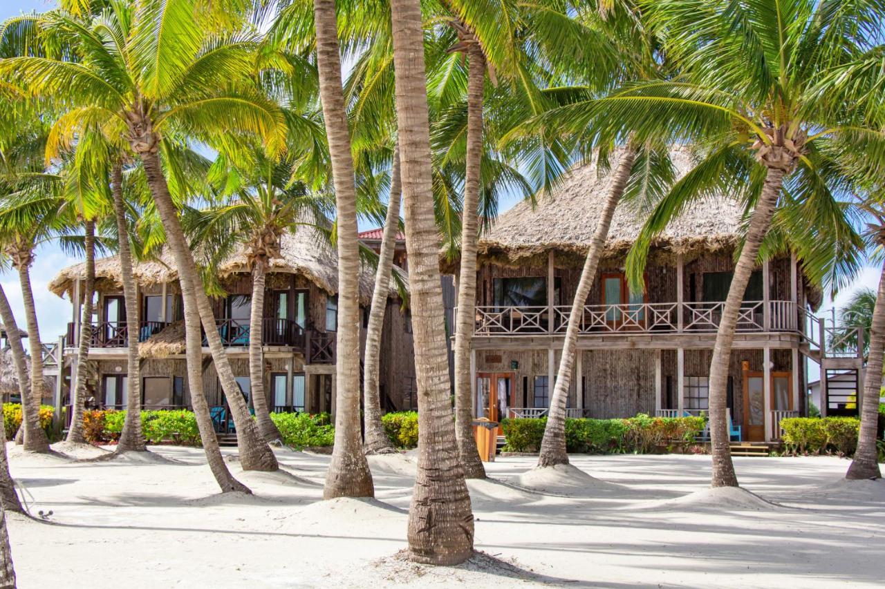 Dolphin Dreams Villa B3 - Ferienwohnung
